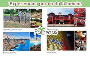 Afbeelding uit fotogalerij van Palmeras Beach Apartments - Playa Santa in Guanica