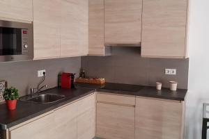eine Küche mit einer Spüle und einer Mikrowelle in der Unterkunft Fabuloso apartamento en Triana in Sevilla