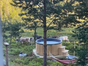 a hot tub with cows in a field with trees at Mountain Cabin Lofsdalen in Lofsdalen