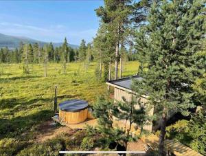 una cabaña de madera en un campo con un árbol en Mountain Cabin Lofsdalen, en Lofsdalen