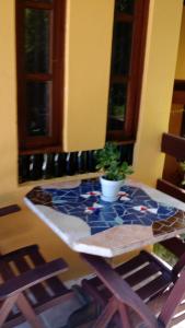 une table avec une plante en pot assise au-dessus dans l'établissement Pousada Peixe Espada, à Praia do Forte