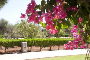 a hedge with pink flowers and a speaker in a park at Makronisos Village in Ayia Napa
