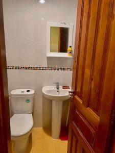 uma casa de banho com um WC e um lavatório em APARTAMENTO Estación de ESQUÍ EN SAN ISIDRO em San Isidro