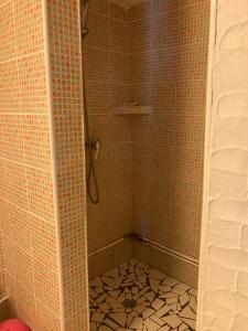 a bathroom with a shower with a tiled floor at LE VILLAGE DE CANADA in Faup