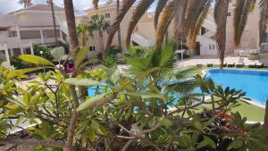 Bazén v ubytovaní Chayofa Paraiso, apartamento Tenerife Sur alebo v jeho blízkosti