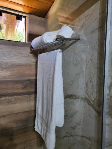 a towel hanging on a towel rack in a bathroom at Vista Lago Suites PY in Itauguá