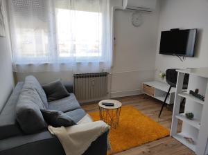 a living room with a couch and a tv at Apartments with a parking space Karlovac - 20779 in Karlovac