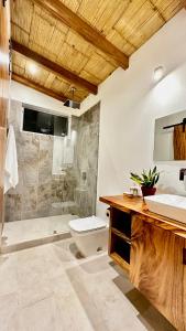 a bathroom with a toilet and a shower and a sink at Villas Paraiso Azul in Santa Teresa Beach