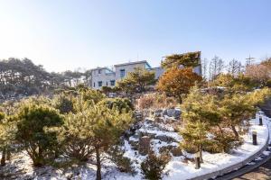 a house on a hill with trees and snow at Hoengseong Haru Self check-in Hotel in Hoengsong