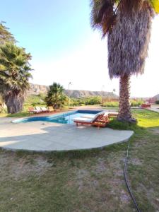 a palm tree next to a swimming pool at Cabañas Licanantay in Vallenar