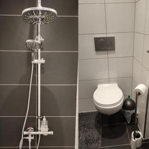 a bathroom with a toilet and a shower at Uni-nähes Apartmenthaus mit Garten in Bochum