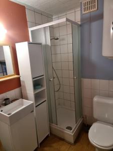 La salle de bains est pourvue d'une douche, de toilettes et d'un lavabo. dans l'établissement Le Rouge Gorge Curieux, à Vresse-sur-Semois