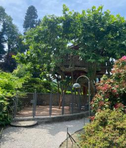 domek na drzewie pośrodku ogrodu w obiekcie Lake Como Dream Tree House w Como