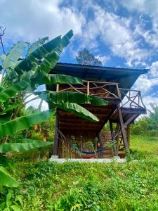 ein kleines Gebäude mit einem blauen Dach und einem Bananenbaum in der Unterkunft Green Hill Restaurant & Cottages in San Vicente