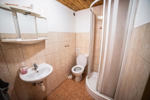 a bathroom with a toilet and a sink and a shower at Vinný Sklep U Terezy a Jakuba in Moravská Nová Ves