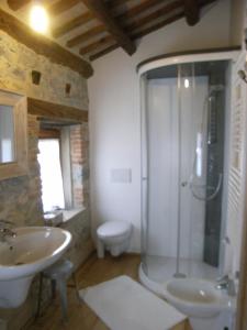 ein Bad mit einer Dusche, einem WC und einem Waschbecken in der Unterkunft B&B Casa di Campagna in Miane
