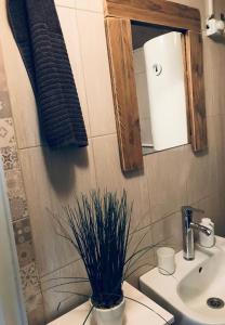 a bathroom with a toilet with a plant on it at Tóparti Kuckó in Mályi +76 photos