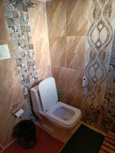 a bathroom with a white toilet in a room at Ulley Lodge in Saspul Gömpa