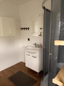 a bathroom with a sink and a shower at Domki Blisko Nieba II in Wisła