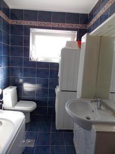 Kúpeľňa v ubytovaní Apartment Sladić