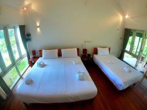 two beds in a room with large windows at Vang Vieng Eco Lodge in Vang Vieng