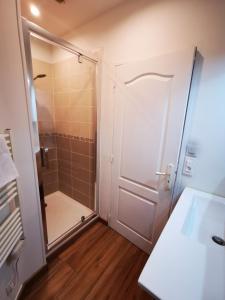 een badkamer met een douche en een glazen deur bij Appart impasse du sentiment in Montignac