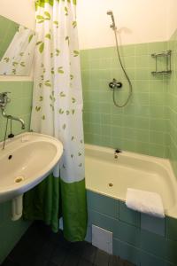 La salle de bains est pourvue d'un lavabo, d'une baignoire et d'une douche. dans l'établissement Réva, à Janské Lázně