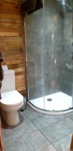 a bathroom with a toilet and a glass shower at LILAC COTTAGE cabin in Swafield