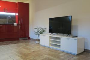 TV a/nebo společenská místnost v ubytování Apartmán U Josefa