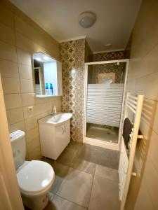 a bathroom with a toilet and a sink and a window at Apartments Plantin 3 sleeping rooms 2 bathrooms. in Antwerp
