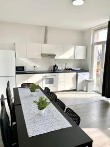 Ảnh trong thư viện ảnh của Apartments Plantin 3 sleeping rooms 2 bathrooms. ở Antwerpen +32 ảnh