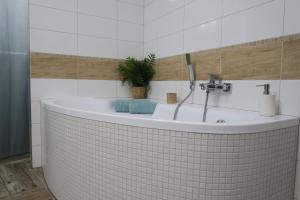 Koupelna v ubytování Apartmán U Josefa