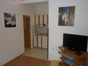 Televízia a/alebo spoločenská miestnosť v ubytovaní Apartments Calendula Rubic
