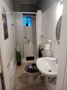 een witte badkamer met een toilet en een wastafel bij Stadtnah an der Förde 65 U in Flensburg