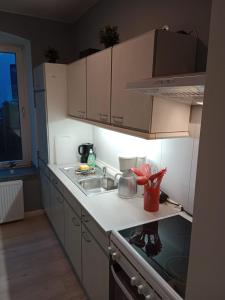 een kleine keuken met een wastafel en een fornuis bij Stadtnah an der Förde 65 U in Flensburg