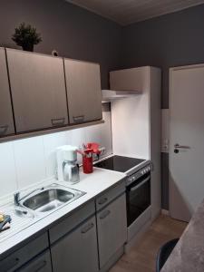 Virtuvė arba virtuvėlė apgyvendinimo įstaigoje Stadtnah an der Förde 65 U