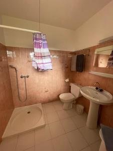 ein Bad mit einem Waschbecken, einem WC und einer Dusche in der Unterkunft Motel Esterel in Mandelieu-la-Napoule