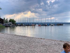 a young boy sitting on the shore of a marina at Seespitz Gästehaus in Herrsching am Ammersee
