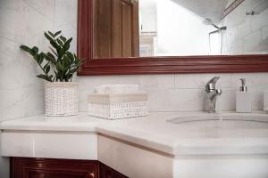 łazienka z umywalką z lustrem i rośliną w obiekcie Mansion Eugenie w mieście Hydra