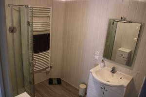 La salle de bains est pourvue d'une douche, d'un lavabo et d'un miroir. dans l'établissement Gîte Natur'Amis, à Rivarennes