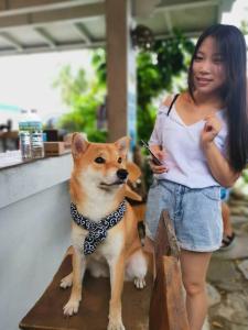 和主人一起入住星浪恩典屋民宿的宠物