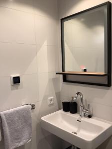 Vonios kambarys apgyvendinimo įstaigoje Atelier Zonnehoek