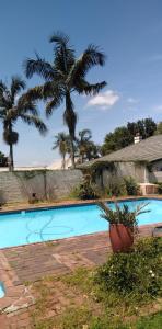 a swimming pool with palm trees in the background at Fabulous guest house in Pietermaritzburg