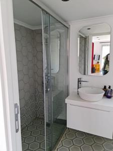 a bathroom with a shower and a sink at Küçük Evler Tiny Houses in Istanbul