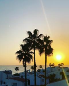 a group of palm trees in front of a sunset at Miraflores Beachfront Penthouse in Mijas Costa