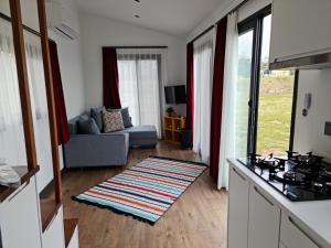 a kitchen and living room with a couch and a rug at Küçük Evler Tiny Houses in Istanbul