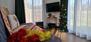 a living room with a christmas tree and a tv at Küçük Evler Tiny Houses in Istanbul