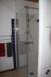 a shower with a glass door in a bathroom at maison de marie in Doussard