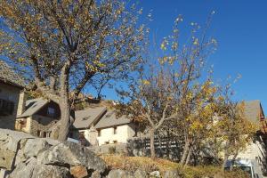 a group of trees in front of a house at Maison de village au cœur du hameau Les Marches à Orcières in Orcières