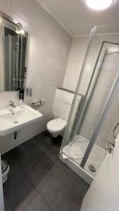 a bathroom with a toilet and a sink and a shower at Hotel Restaurant Haus Zwicker in Bleialf